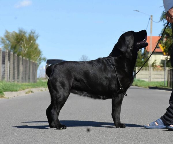 Aktuelles Margo’s Land