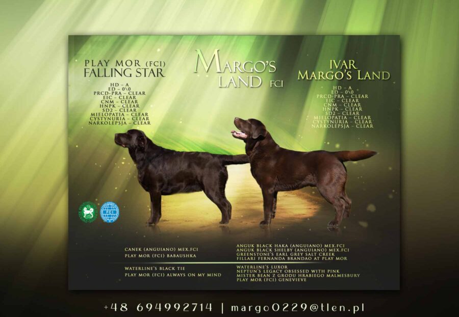 Zapowiedź miotu koniec marca